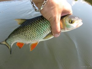IMG_4615.JPG