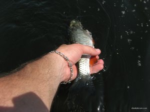 IMG_4617.JPG