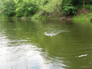 IMG_4619.JPG
