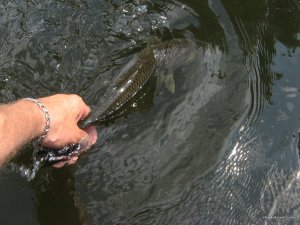 IMG_4632.JPG