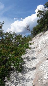 20190602_141156.jpg