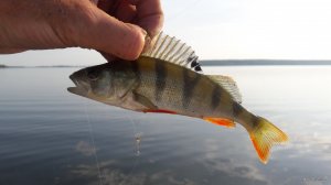 20190531_181720.jpg