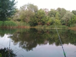IMG_20190603_203700[1].jpg