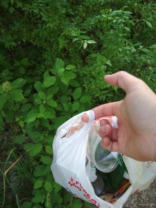 IMG_20190604_082556[1].jpg