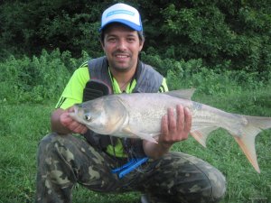 IMG_0398.JPG