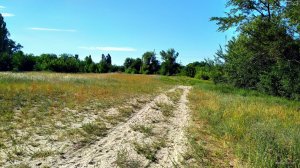 IMG_20190605_164505.jpg