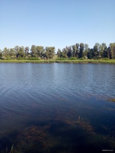 IMG_20190606_090147.jpg