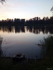 IMG_20190605_204623.jpg