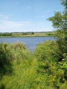 IMG_20190605_131925.jpg