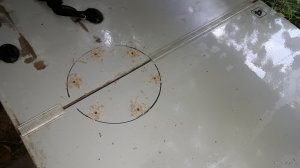 20190601_103557.jpg