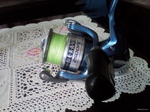 IMG_20190603_181742.jpg