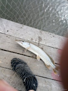 IMG_20190607_152911.jpg