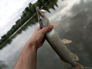 IMG_20190607_172755.jpg