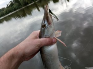 IMG_20190607_172753.jpg