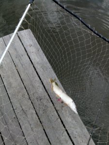 IMG_20190607_175549.jpg