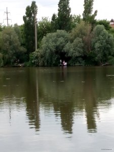 IMG_20190607_175122.jpg