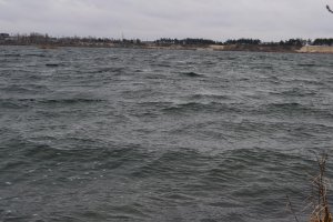 DSC_0107.jpg
