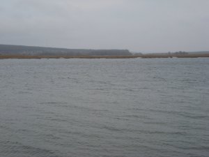 f348 001.jpg