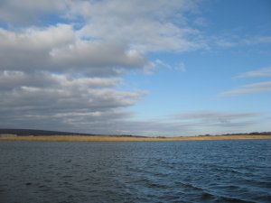 f348 013.jpg