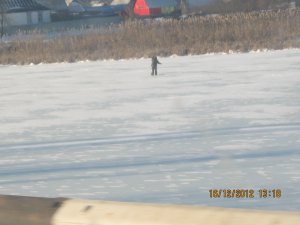 IMG_2175.jpg