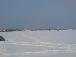 DSC00028.JPG