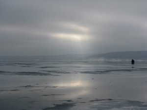 IMG_8122.JPG
