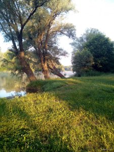 IMG_20190608_053553.jpg