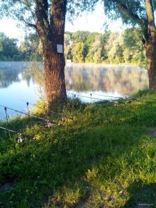 IMG_20190608_053536.jpg