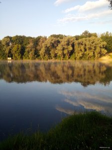 IMG_20190608_053606.jpg