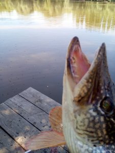 IMG_20190610_102836.jpg