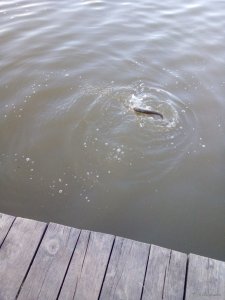 IMG_20190610_175615.jpg