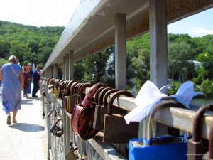 IMG_2750.jpg