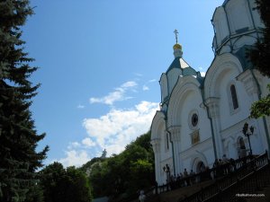 IMG_2769.jpg