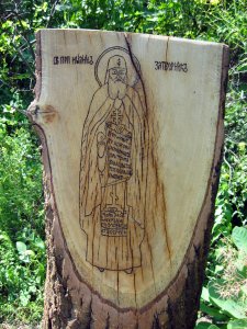 IMG_2821.jpg
