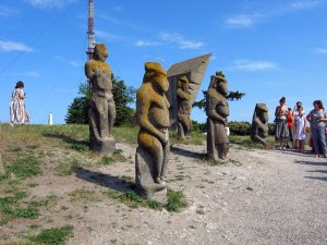 IMG_2893.jpg