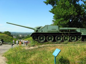 IMG_2905.jpg