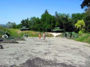 IMG_2906.jpg