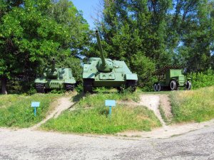 IMG_2907.jpg