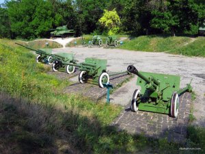 IMG_2910.jpg