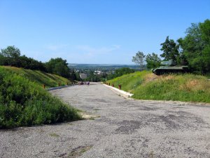 IMG_2912.jpg