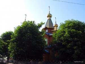 IMG_2916.jpg