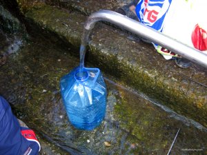 IMG_2924.jpg