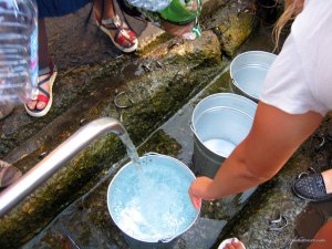 IMG_2925.jpg