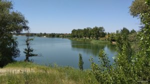 IMG_20190612_133922.jpg