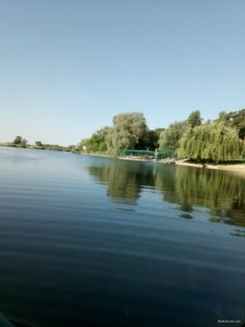 IMG_20190614_070738.jpg