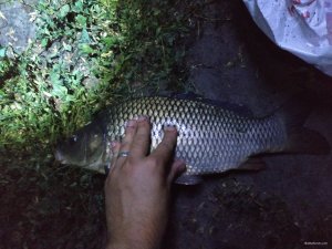 IMG_20190615_232325.jpg