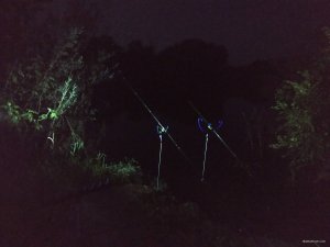IMG_20190615_220903.jpg