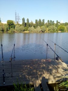 IMG_20190617_075428.jpg
