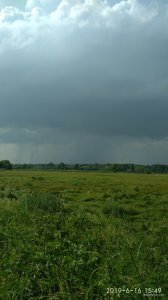 IMG_20190616_154918.jpg