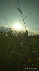 IMG_20190616_192753.jpg